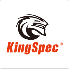 Kingspec