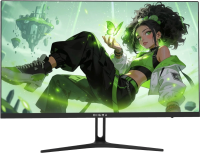 Монитор 23.8" Digma Overdrive 24P411F