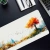 Коврик Cactus CS-MP-PRO16XXL Forest watercolor