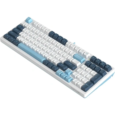 Клавиатура A4Tech FStyler FS300 Panda Snowboarding