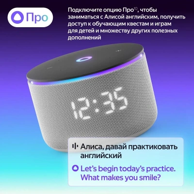 Умная колонка Яндекс.Станция Мини 3 Про с Zigbee (YNDX-00059GRY)