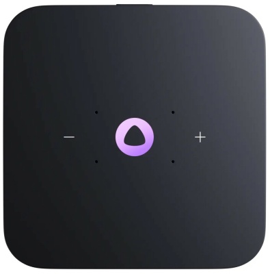 Умная колонка Яндекс.Станция Миди с Zigbee (YNDX-00054PNK)
