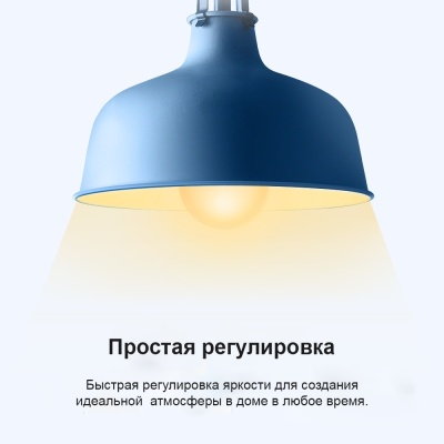 Умная Wi-Fi лампа TP-Link Tapo L510E