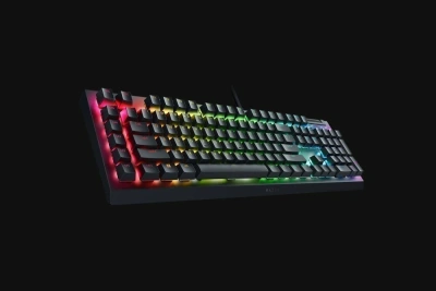 Клавиатура Razer Blackwidow V4 X