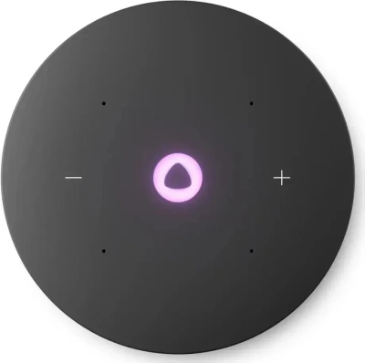 Умная колонка Яндекс.Станция Мини 3 Про с Zigbee (YNDX-00059GRY)