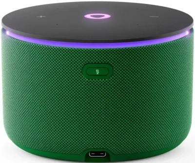 Умная колонка Яндекс.Станция Мини 3 Про с Zigbee (YNDX-00059GRN)